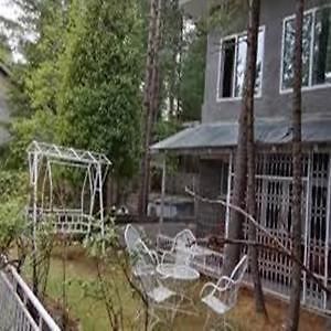 Pinetree Resort Nathiagali Nathia Gali Eksteriør bilde